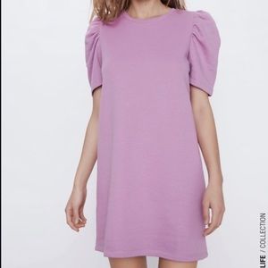 Zara sweatshirt dress